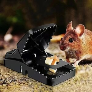 মাউস ট্র্যাপ (Mouse Trap)- 3 Pcs